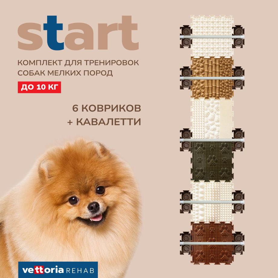 Vettoria Start комплект для тренировок собак мелких пород до 10 кг