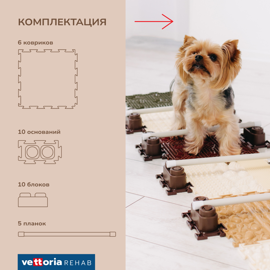 Vettoria Start комплект для тренировок собак мелких пород до 10 кг