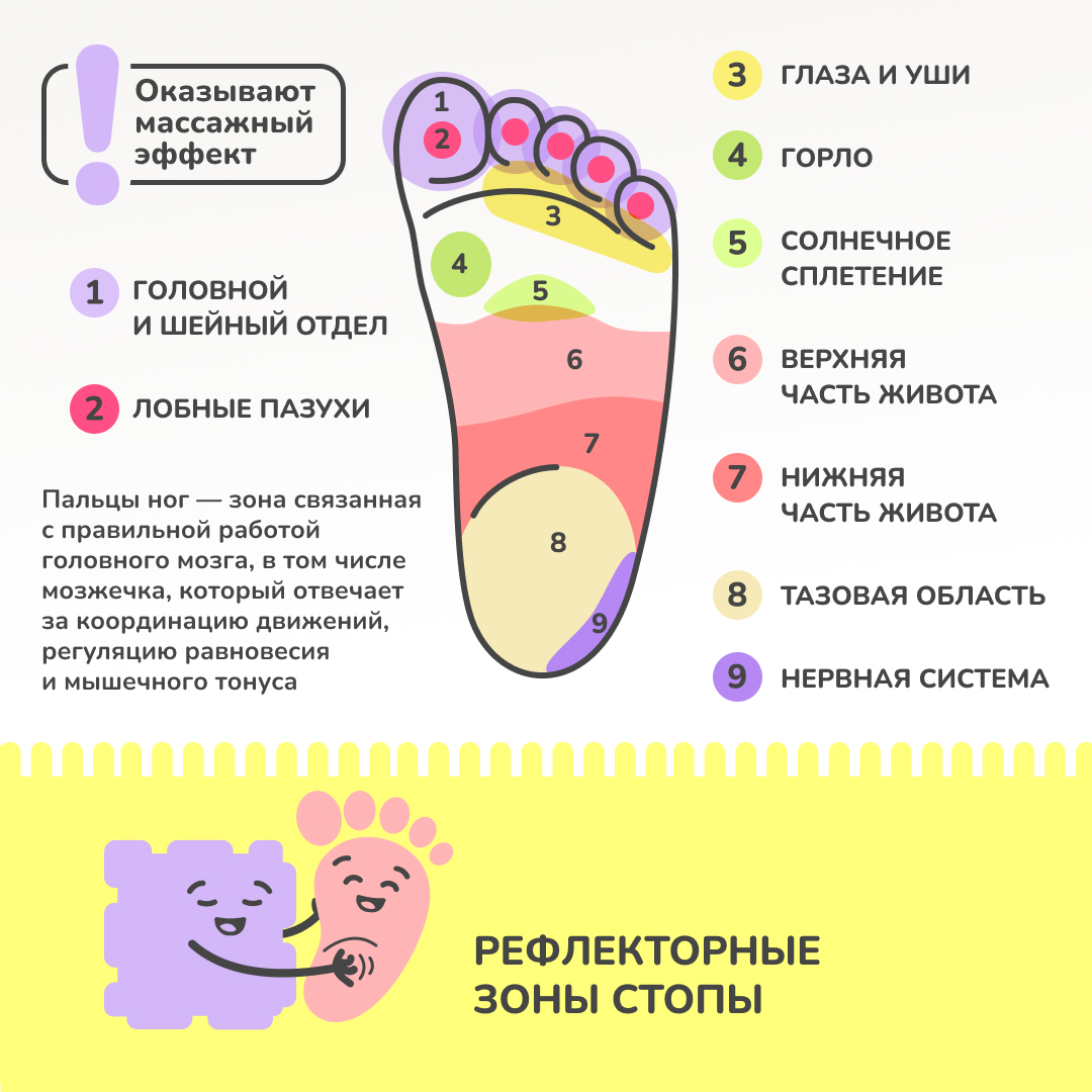 Черепашка 1 пазл