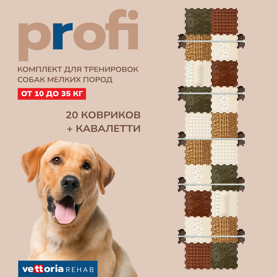 Vettoria Profi комплект для тренировок собак средних пород от 10 до 35 кг