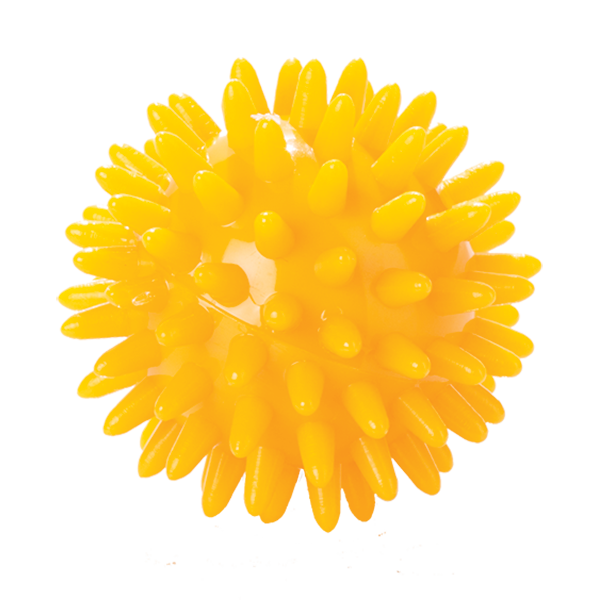 Мяч игольчатый (6 см)