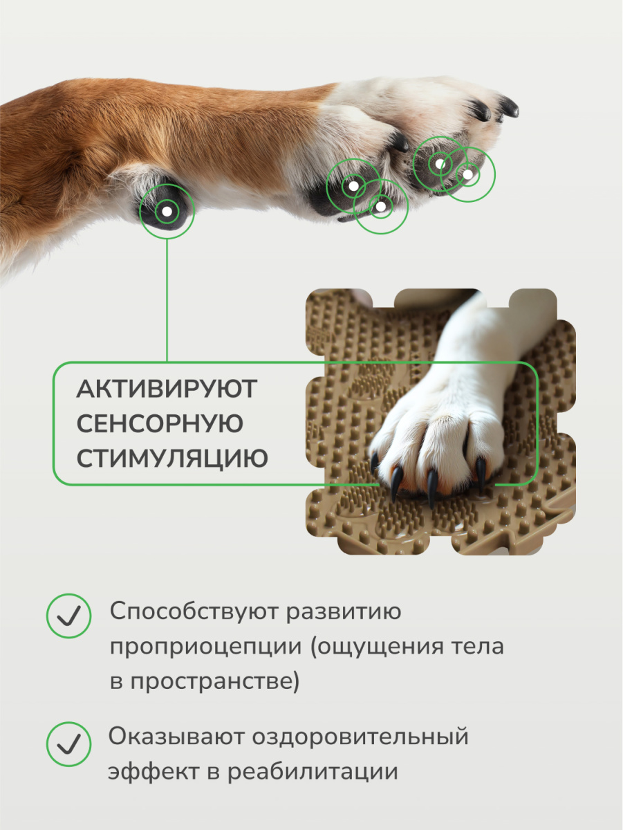 Набор ковриков L для собак средних пород от 10 до 35 кг