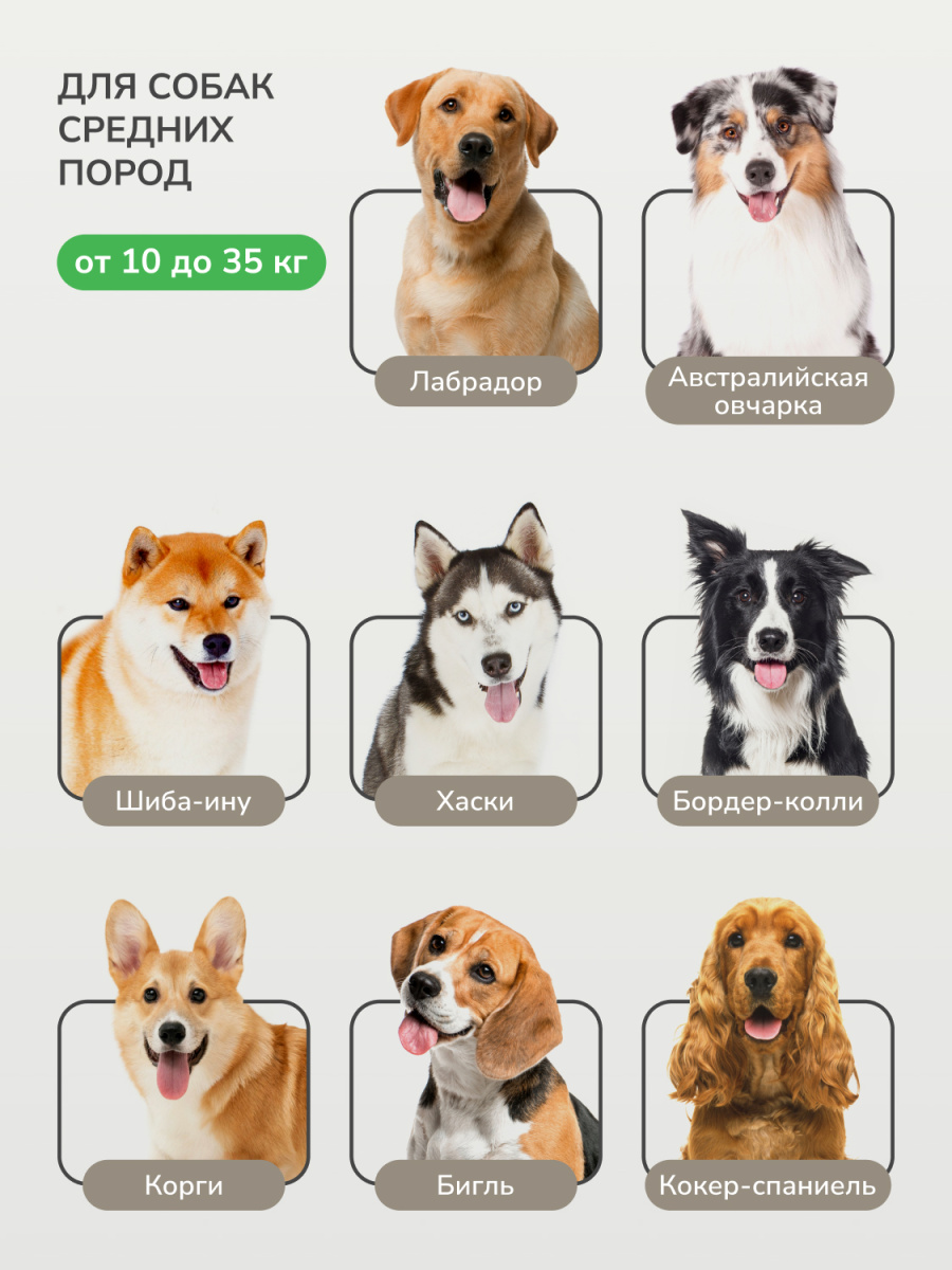 Набор ковриков L для собак средних пород от 10 до 35 кг